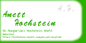 anett hochstein business card
